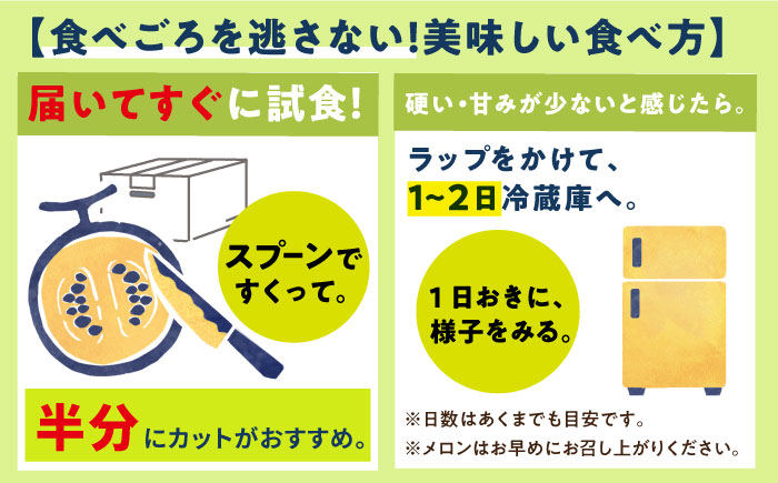 【12月上旬発送分】アールスメロン 約4kg（2玉） マスク メロン 島 めろん メロン アールス メロン めろん 果物 フルーツ 五島列島《小値賀町》【ながさき西海農協小値賀地区園芸部会】[DAT0