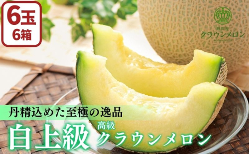 【数量限定】【期間限定】クラウンメロン 白上級 ６玉 高級黒色化粧箱入り メロン 人気 厳選 ギフト 贈り物 デザート グルメ 果物 袋井市 果物類 フルーツ
