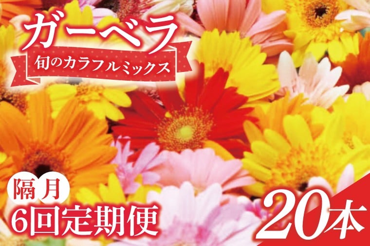 
            【6回隔月定期便】旬の水戸市常澄のガーベラ カラフルミックス20本【ガーベラ 産直 サプライズ フラワーアレンジ 花 お花 贈り物 誕生日 母の日 彼女にプレゼント 水戸市 茨城県】（DR-133）
          