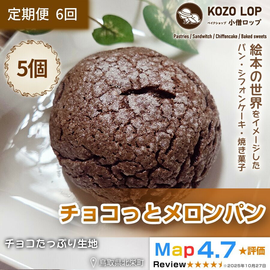 【ふるさと納税】【定期便6ヶ月】鳥取県産 チョコたっぷり生地 チョコっとメロンパン 5個×6回