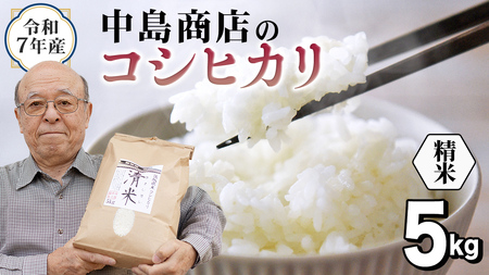 令和8年産 茨城県産 精米 コシヒカリ 5kg （5kg×1袋）