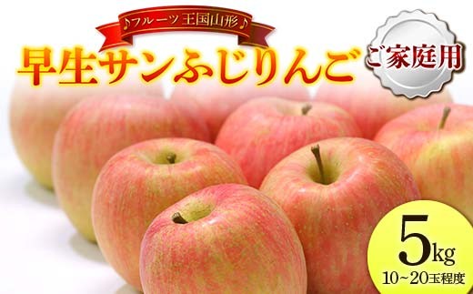 【先行予約 2026年度発送】♪フルーツ王国山形♪ 早生サンふじりんご ご家庭用 5kg りんご リンゴ 林檎 デザート フルーツ 果物 くだもの 果実 食品 山形県 FSY-2560