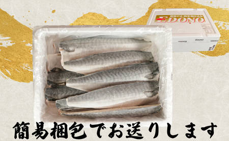 【 スピード配送 】 適塩さば 純米酒仕込み 5kg さば