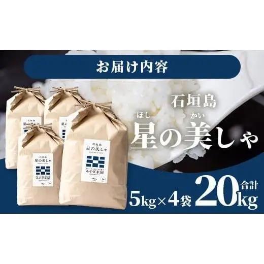 石垣島産 星の美しゃ（ほしのかいしゃ）20kg（5kg×4袋）　MK-5