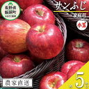 【ふるさと納税】 りんご サンふじ ( 小玉 ) 家庭用 5kg ファームたんぽぽ 沖縄県への配送不可 令和6年度収穫分 長野県 飯綱町 〔 信州 果物 フルーツ リンゴ 林檎 長野 11000円 予約 農家直送 〕発送時期：2024年12月上旬～2024年12月下旬{**}