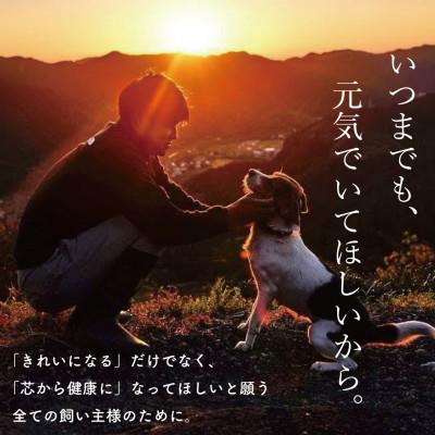 ふるさと納税 須崎市 ペットの為に「100%自然由来」の乳酸菌酵素スプレー　猫用180ml |  | 03