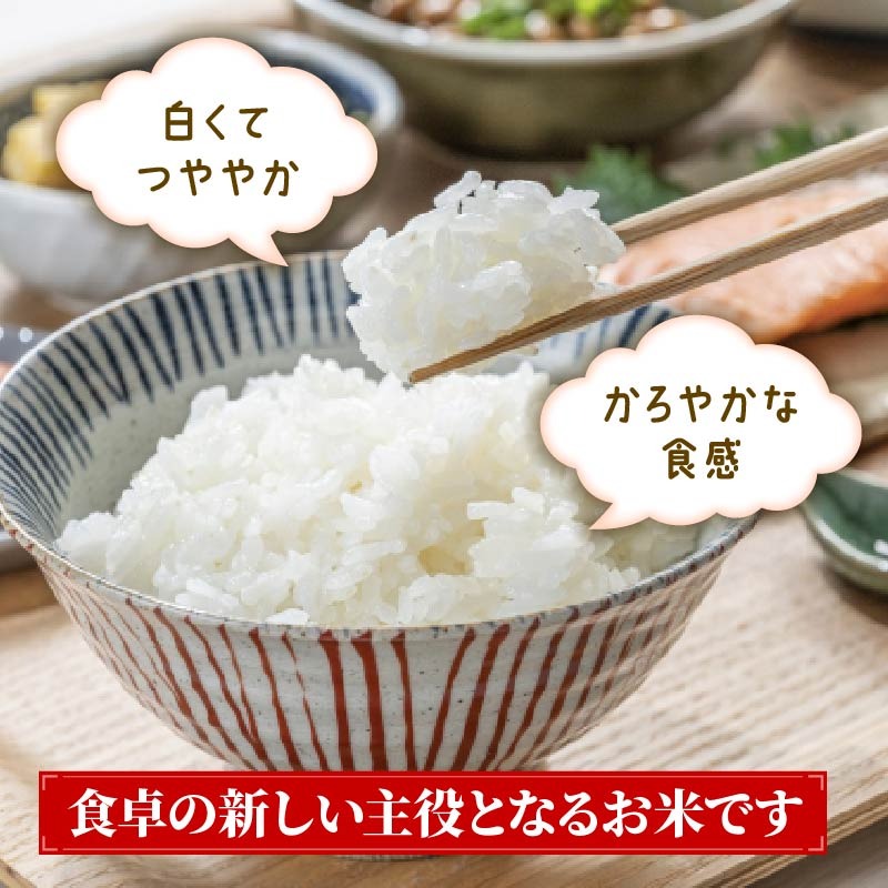 銀河のしずく 一等米 精米 5kg 岩手県産 米 白米 はくまい コメ rice ごはん 常温 常温保存 保存 農家 農作物 栄養 夕飯 大船渡 三陸 岩手県 国産 [owada002]