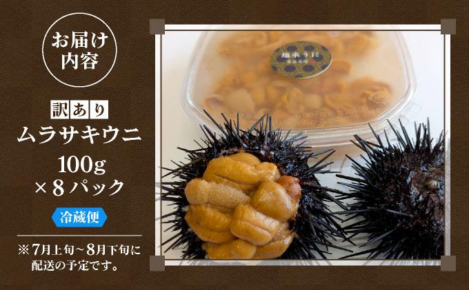 ＜先行予約＞ 北海道産 ムラサキウニ（訳あり）800g【ogm-046】生うに 塩水うに ミョウバン不使用 海鮮 訳あり 国産 北海道 伊達 ふるさと納税