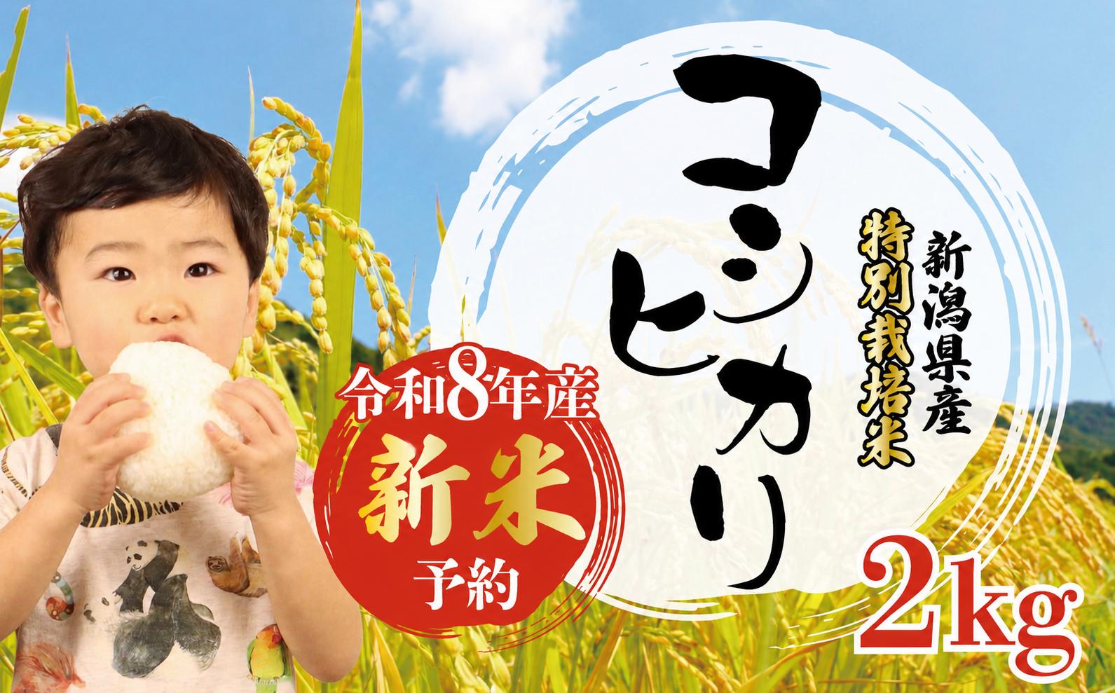 
                  【新米】 令和8年産 コシヒカリ 特別栽培米 2kg (2kg×1袋) 新米 白米 米 こしひかり こめ ごはん おにぎり お弁当 農家直送 産地直送 ふるさと納税 姉﨑農園 新潟産 新潟県 新発田市 anezaki007
                