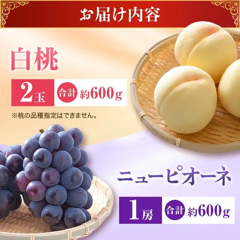 【2026年先行受付】 白桃 ニューピオーネ 約1.2kg セット 桃 2玉 ぶどう 1房 岡山県産  御中元 ギフト 御礼 プレゼント 御礼 御祝 御供 果物 くだもの フルーツ もも モモ 葡萄 