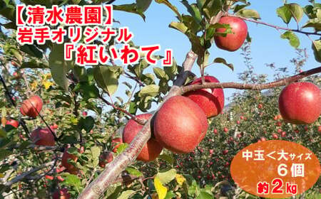 【清水農園】フレッシュ りんご 岩手県のオリジナル品種「紅いわて」約2kg 【 リンゴ 林檎 果物 フルーツ 期間限定 】2025年9月頃から順次発送予定 RT2224