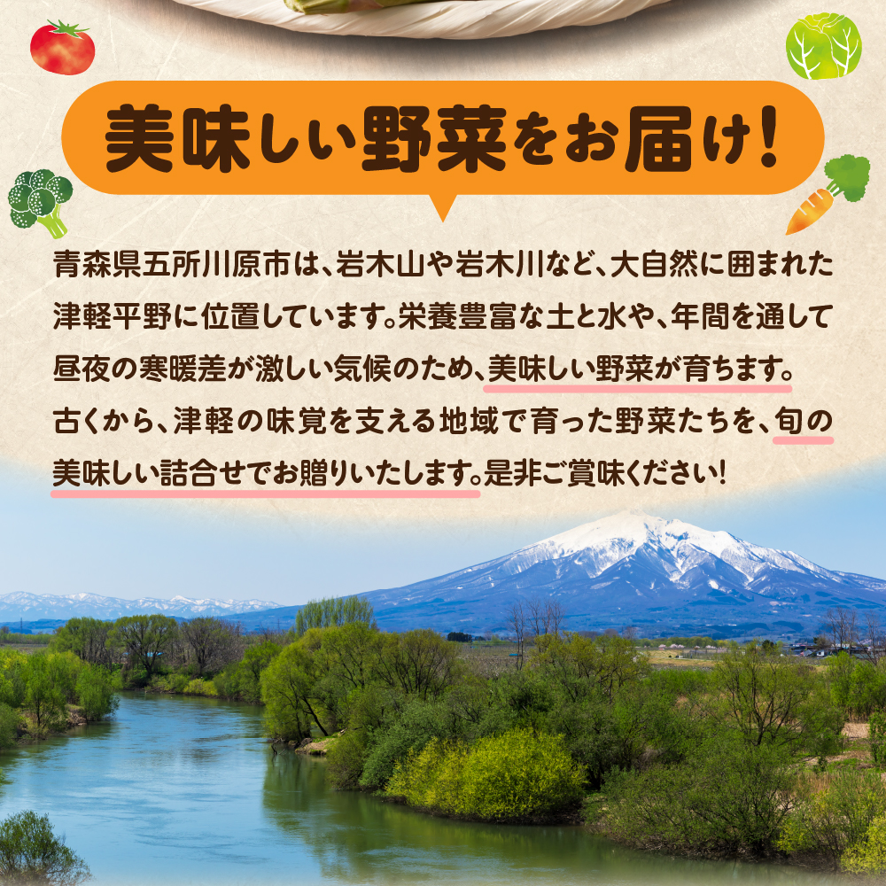 野菜セット 「産直メロス」【2026年10月発送】 旬の野菜詰め合わせ 野菜 詰合せ セット詰め合わせ 国産 旬 おまかせ お楽しみ 直送 詰合 青森 五所川原 6～8品