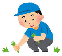 空き家のお庭の草刈り・除草サービス　030SV01N.