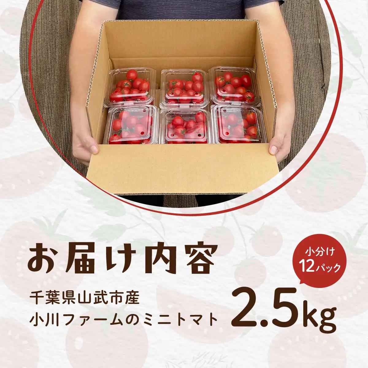 【先行予約】【発送期間は5月中旬～7月中旬、9月上旬～11月下旬】新鮮でフルーティーな小川ファームのミニトマト2.5kg(12パック入り)
