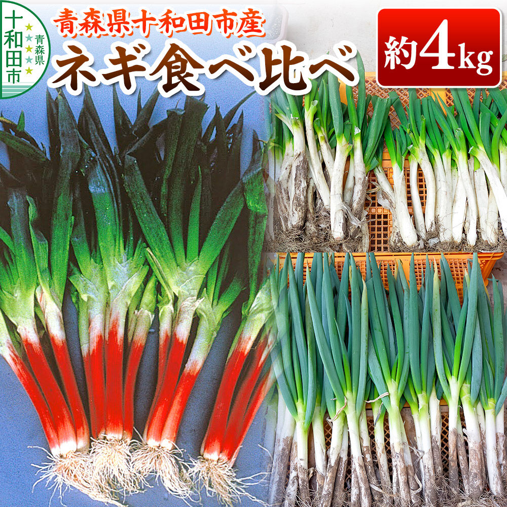 【ふるさと納税】【11月中旬発送・先行受付】ネギ食べ比べ 約4kg 青森県十和田市産 [葱 ねぎ 詰め合わせ]