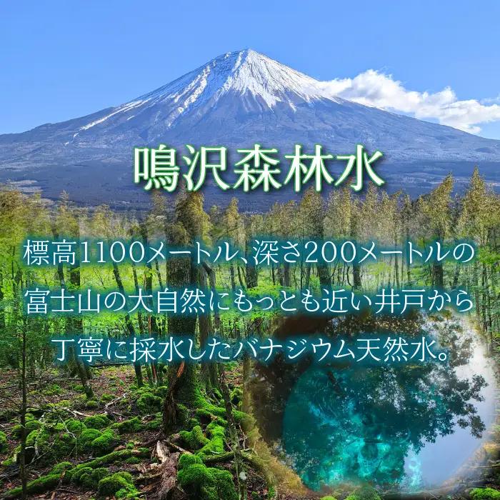 鳴沢の天然水×１２箱（毎月お届け）専用冷温水サーバー×１　スタートセット NSO006