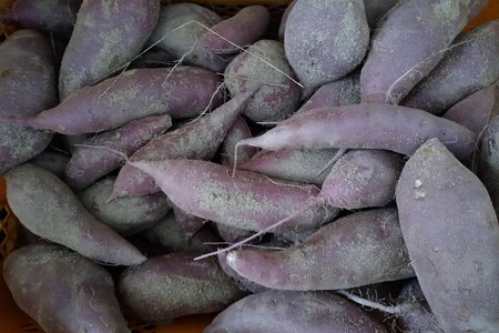 【先行予約】京都京丹後産さつまいも 金時芋 3kg（2024年12月上旬～発送）