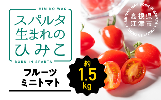 【先行予約】スパルタ生まれのひみこ ミニトマト 約1.5kg入り スパルタ生まれ ひみこ ミニトマト フルーツミニトマト お届け：10月以降順次発送
