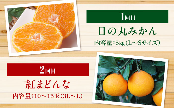 【全6回定期便】 【2025年11月以降毎月発送】えひめかんきつ定期便 愛媛県大洲市/愛媛県観光物産協会 みかん 日の丸ゴールド 紅まどんな 伊予柑 デコポン せとか 河内晩柑 [AGDN001]