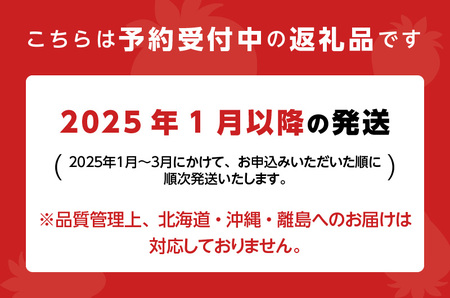 【福岡県久留米市産】摘みたてあまおう4パック【離島・沖縄配送不可】_Fi067