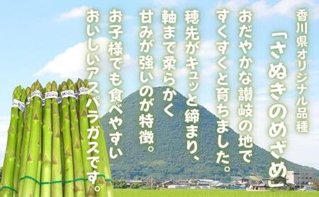 【2027年2月上旬以降発送予定】アスパラガス さぬきのめざめ 早出し 春芽 約800g 香川県 丸亀市 アスパラ
