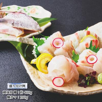 ふるさと納税 愛南町 訳あり 愛南ゴールド真鯛 合計約500g サイズ 不揃い 規格外 小分け 真空 パック 新鮮 鮮魚 |  | 02