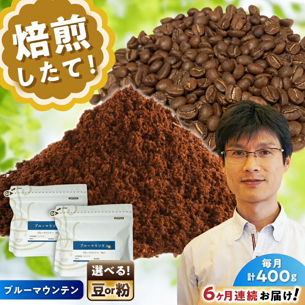 【ふるさと納税】【全6回定期便】[選べる豆 or 粉] ブルーマウンテンNo.1　200g×2個 / 珈琲 コーヒー / 瀬戸市 / Coffee　SAKURA[BBAB088]