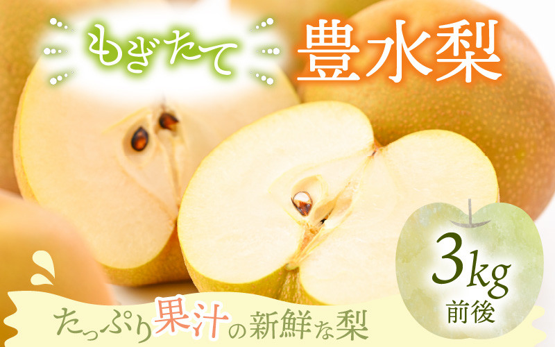 
            【豊水梨】3kg前後 (5~8個) もぎたて！たっぷり果汁の新鮮な梨をお届け！【梨 なし 和梨 フルーツ 甘い みずみずしい 果実 果物 新鮮 お土産 贈り物 旬の果物】 [A-15006]
          