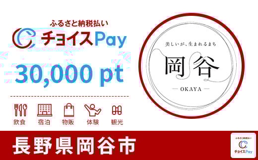 
            岡谷市チョイスPay 30,000pt【会員限定のお礼の品】
          
