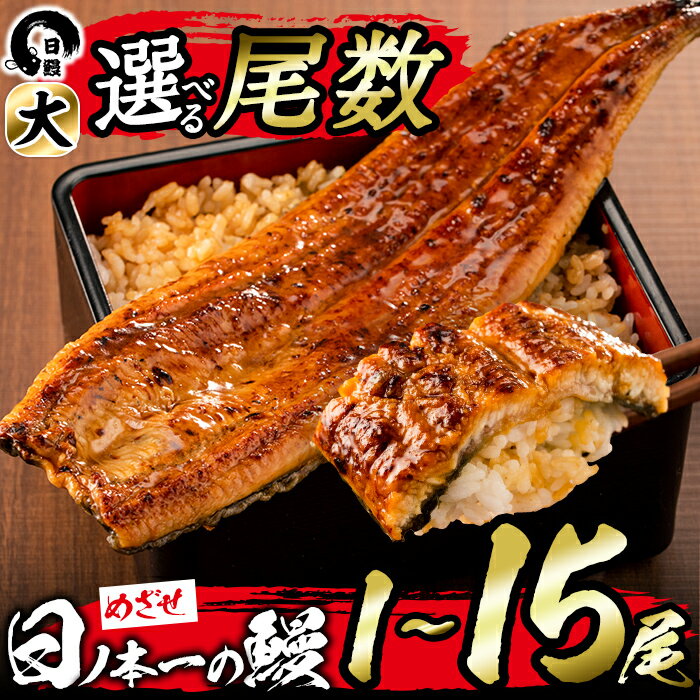 【丑の日までにお届け！7月14日入金まで】うなぎ生産量日本一の鹿児島県産！日ノ本一の鰻の蒲焼き＜大＞5尾セット(計950g以上)たれ、山椒付き！「酸素たっぷり贅沢水」で育ったおいしいウナギ【日鰻】c