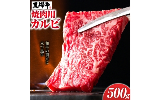 くまもと黒毛和牛 黒樺牛 A4～A5等級 焼肉用カルビ 500g 株式会社杉本本店 《90日以内に出荷(土日祝除く)》熊本県 菊池市 牛肉 牛 霜降り 赤身 お肉 焼き肉 BBQ 黒毛和牛 国産 九州産 熊本県産 冷凍 送料無料