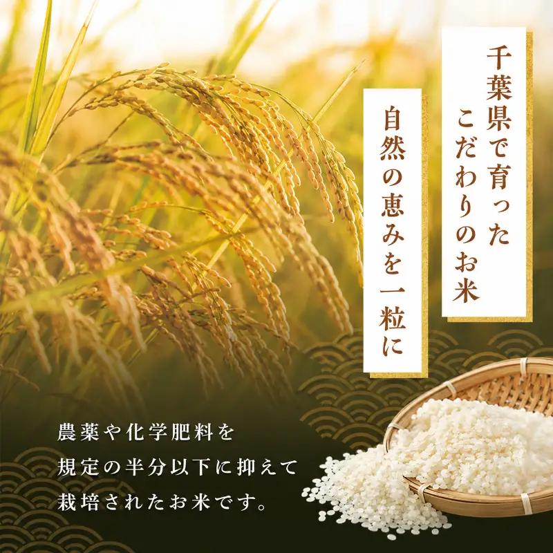 無洗米 ミルキークイーン 5kg 単一原料米 無洗米
