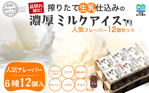 搾りたて 生乳 仕込みの濃厚 ミルクアイス 人気フレーバー12個セット（6種類）Qak-36 アイスクリーム アイス アイスセット バニラアイス ブルーベリーアイス いちごアイス イチゴアイス チョコ チョコアイス アイス大容量 詰め合わせ セット 人気 カップ