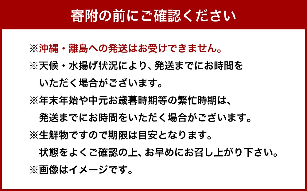 北海道小樽市 塩水キタムラサキウニ 100g×6パック 合計600g 【漁師直送】
