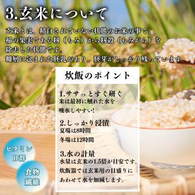 ふるさと納税 矢吹町 【令和7年産米先行受付】玄米 農家直送 ベルライスファームの天のつぶ 5kg |  | 03