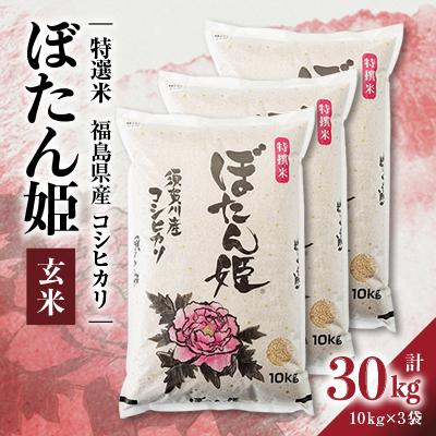 ふるさと納税 須賀川市 【地元ブランド】令和7年産ぼたん姫玄米　30kg