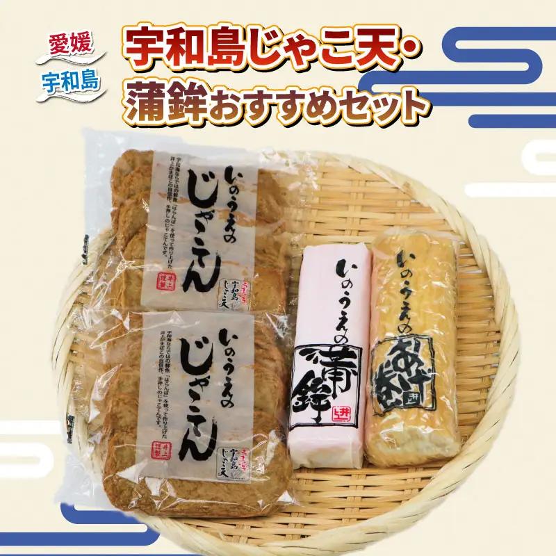 10営業日以内発送 練り物 手押し じゃこ天 蒲鉾 おすすめ セット 井上蒲鉾本舗 蒲鉾蒲鉾蒲鉾蒲鉾 C015-003003