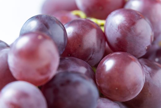 ぶどう 藤稔 4P - 国産 果物 くだもの 青果 フルーツ 葡萄 ブドウ グレープ ジューシー デザート やすらぎ市 高知県 香南市 冷蔵 yr-0099