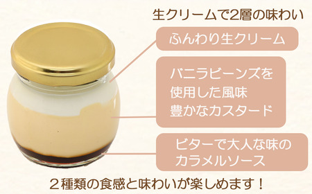 CocoRoプリン6個セット（ギフト包装） │ プリン プリン プリン プリン