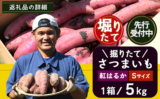 【先行予約：2026年9月中旬配送～】掘りたて さつまいも 紅はるか 5kg Sサイズ (おすそ分け袋／自宅で簡単レシピ付き）FR-202 | 秋の味覚 2026年秋収穫 新物 さつまいも サツマイモ 感動サツマイモ 焼き芋 べにはるか 小ぶり 野菜 おやつ おかず お弁当 煮物 芋ごはん 味噌汁 産地直送 鹿児島県 南大隅町 株式会社フォレスト