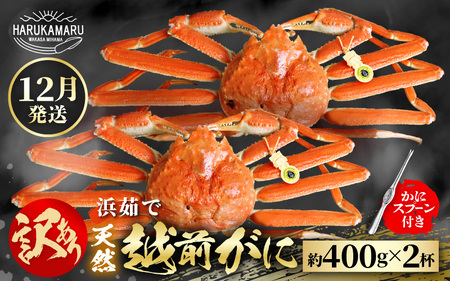 【先行予約】≪浜茹で≫ 地物！天然！はるか丸厳選！”訳あり”越前がに 約400g × 2杯【2026年12月上旬以降順次発送予定】獲れたて！茹でたてをお届けします！[m36-x002_12]