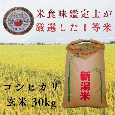 
            R7年産 新潟県岩船産 コシヒカリ玄米30kg　米食味鑑定士が厳選吟味した1等米 [青南総合農園]【1693748】
          