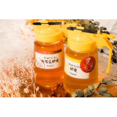 ふるさと納税 大垣市 【国産蜂蜜】450gパッカー容器2本セット(くろがねもち蜂蜜、白花豆蜂蜜)