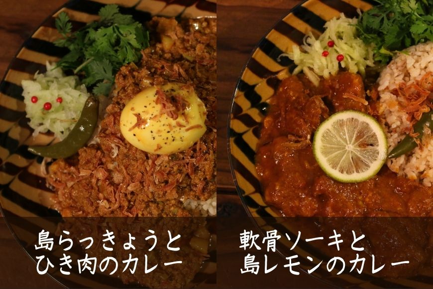 【ふるさと納税】MOSESU CURRYの島カレーシリーズセット　各250g×3食（FP005）