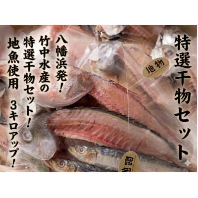 ふるさと納税 八幡浜市 竹中水産の八幡浜発!「匠の干物三昧セット3kg前後以上(約20枚)」【H22-177】