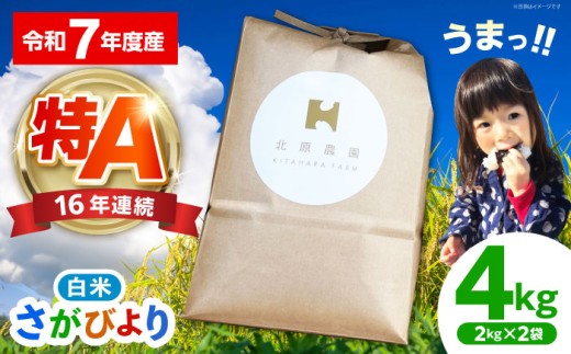 【2026年7月発送】さがびより ( 白米 ) 4kg【北原農園】[HCA004]
