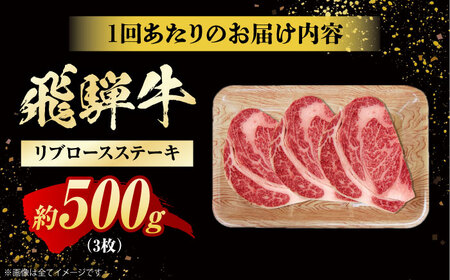 【6回定期便】 飛騨牛 リブロースステーキ 計500g（3枚）/ 牛肉 リブロース ステーキ 肉 霜降り  / 白川町 / 浅井商店[AWBJ031]