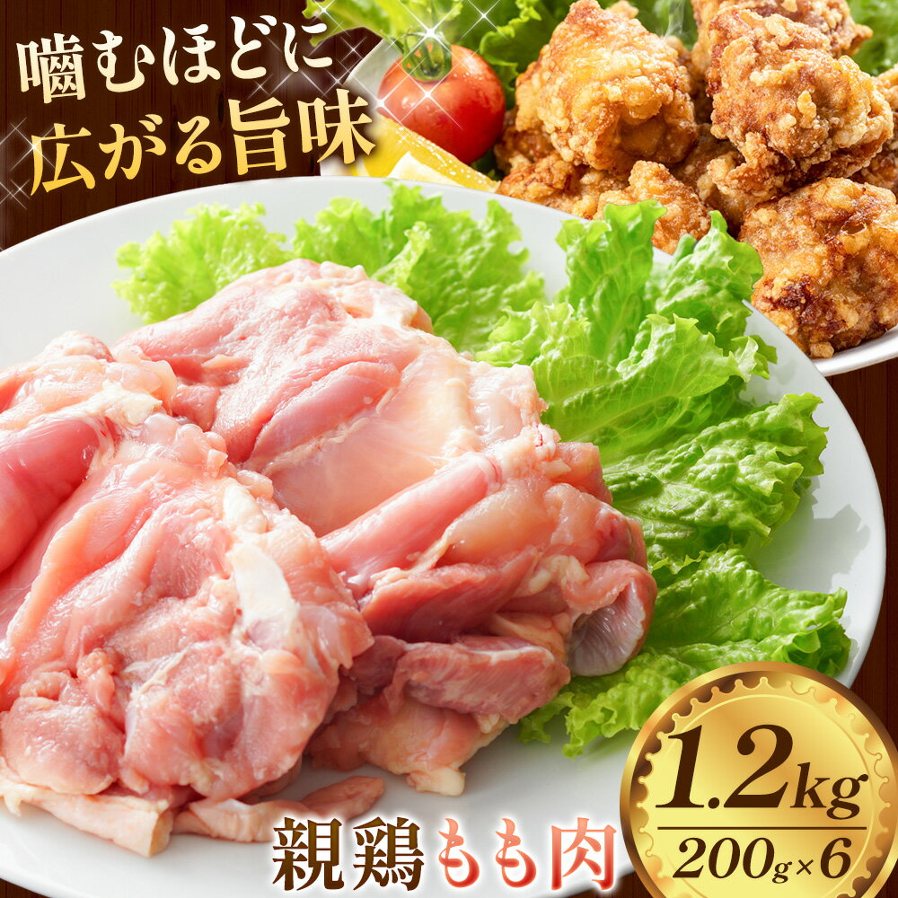 【ふるさと納税】国産 親鶏 もも肉 1.2kg 200g×6パック カット済《30日以内に出荷予定(土日祝除く)》 親鶏 親もも おやどり 親どり ひねどり ひね鳥 ひね鶏 もも モモ 鶏肉 とり肉 純鶏 純けい じゅんけい 焼肉 焼き肉 焼鳥 焼き鳥 やきとり 精肉 冷凍