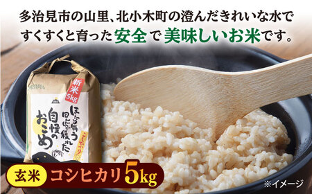 【令和5年産：玄米】 特別栽培米 コシヒカリ （5kg） + 【美濃焼】 赤絵かいらぎ フリーカップ 大 （2個） 【山松加藤松治郎商店】[TEU008]