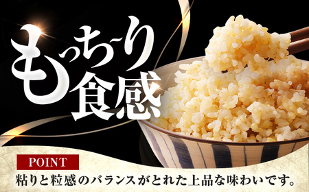 【6回定期便/2ヵ月に1回】 福井県産 コシヒカリ 玄米 10kg 一等級 /甘みと粘りが自慢 王道米 こしひかり 小浜市 / 若狭ふれいあい市場[BFEL016]